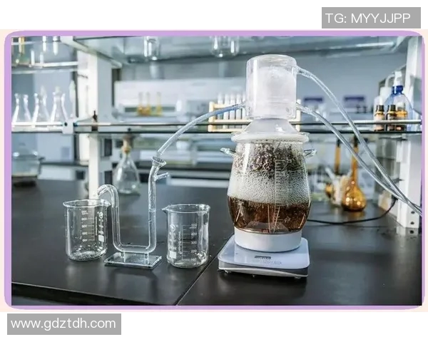 中国足球鞋品牌崛起之路探索与发展趋势分析