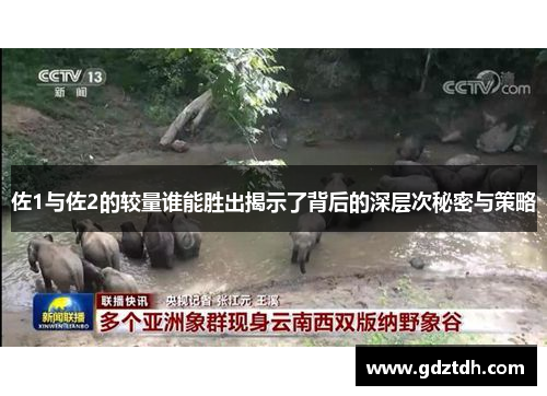 佐1与佐2的较量谁能胜出揭示了背后的深层次秘密与策略